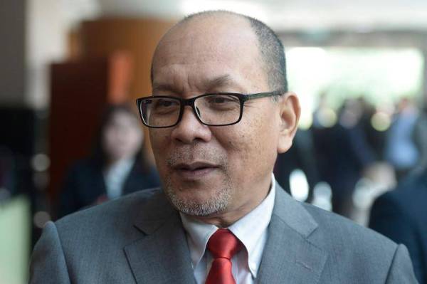 Penternakan babi: Exco pertanian menghadap sultan Isnin ini