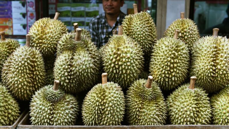 Tiada keperluan untuk tubuhkan Lembaga Durian Malaysia