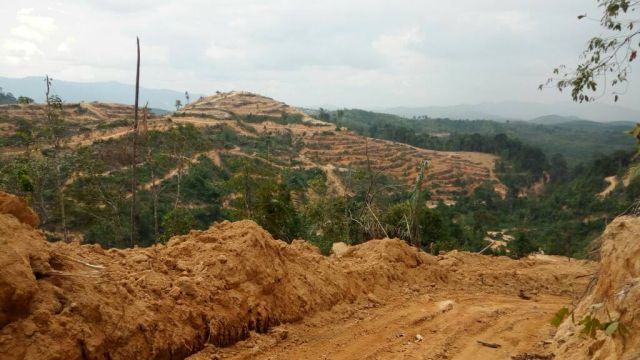 Hasil hutan simpan bukan idea ekonomi ‘The Greater Kedah’