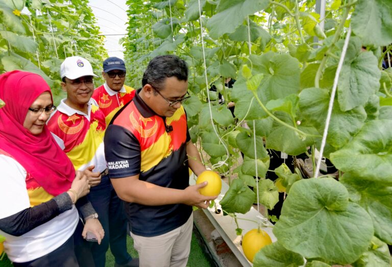 Jika komuniti berminat, Kerajaan Negeri boleh bantu dengan memberi latihan dan panduan berkenaan tanaman melon – Amiruddin