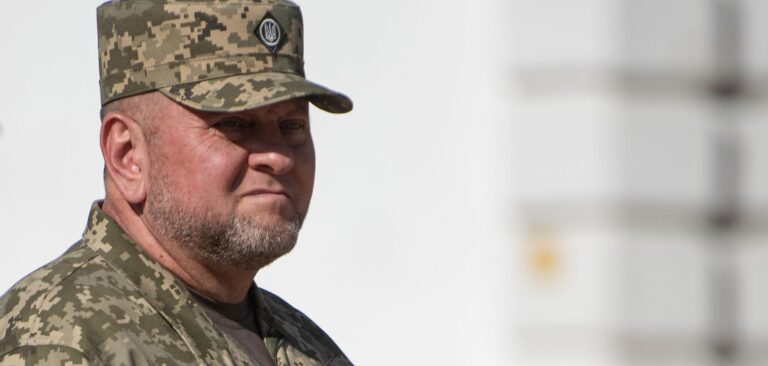 Ukraine army chief sacked