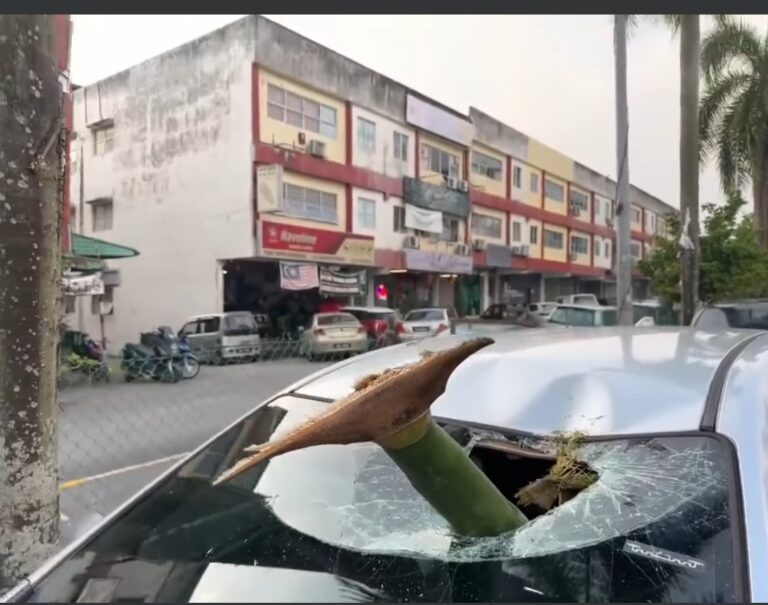 Car gets a Final Destination episode