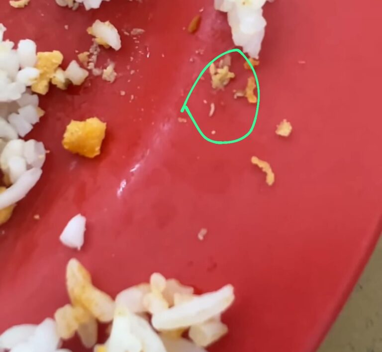 Wriggling maggots for lunch, anyone?