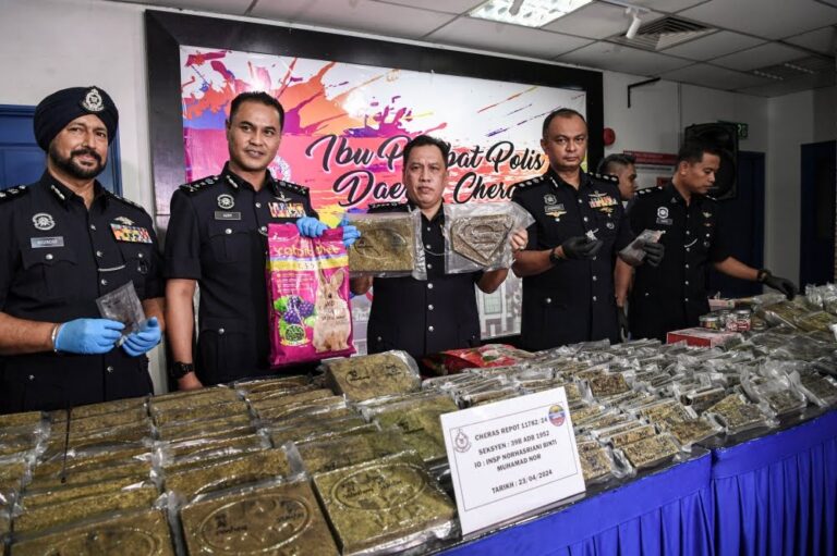 Thai ganja smuggling syndicate busted with 100kg weekly haul