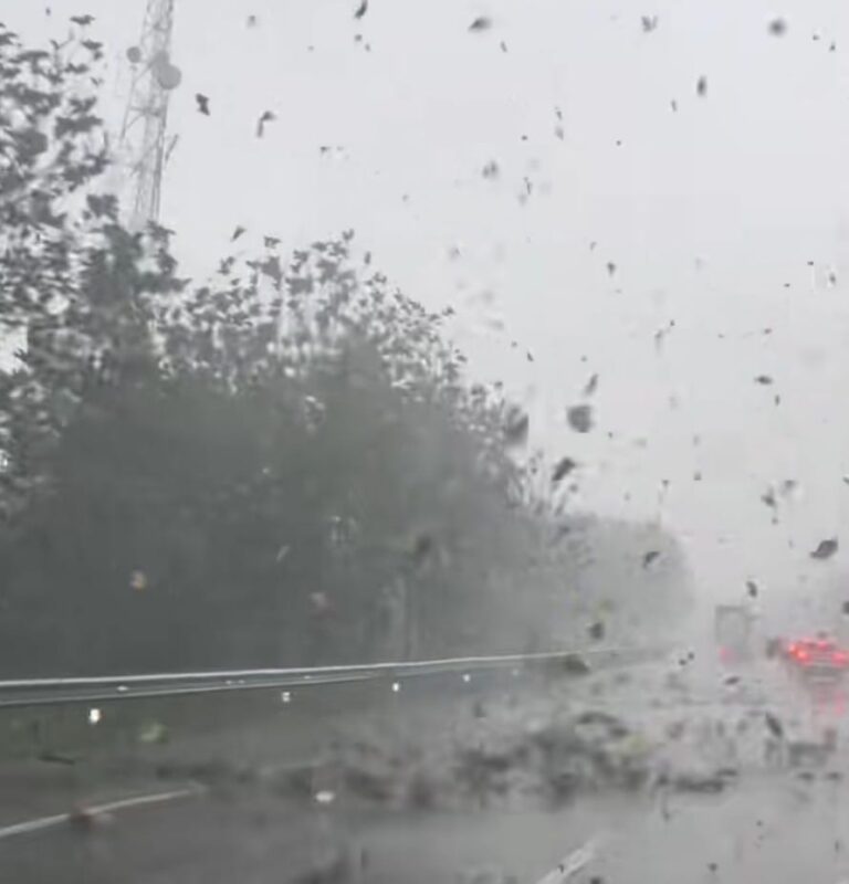 A wild ride through a mini tornado