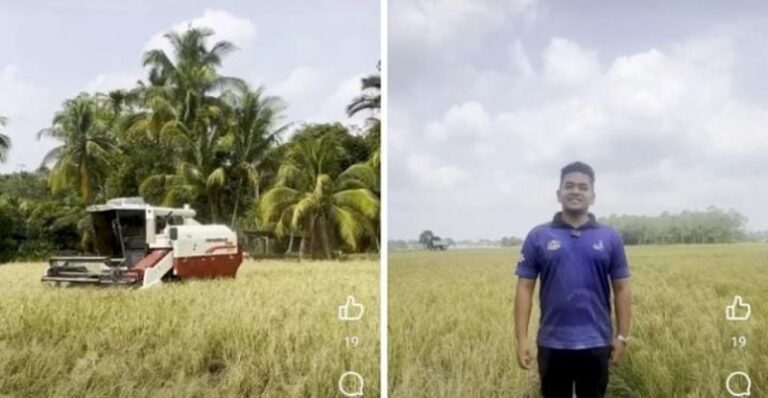 UPM tuai padi varieti rintang kemarau