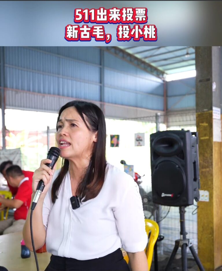 Teo Nie Ching attempts to raise voter turnout