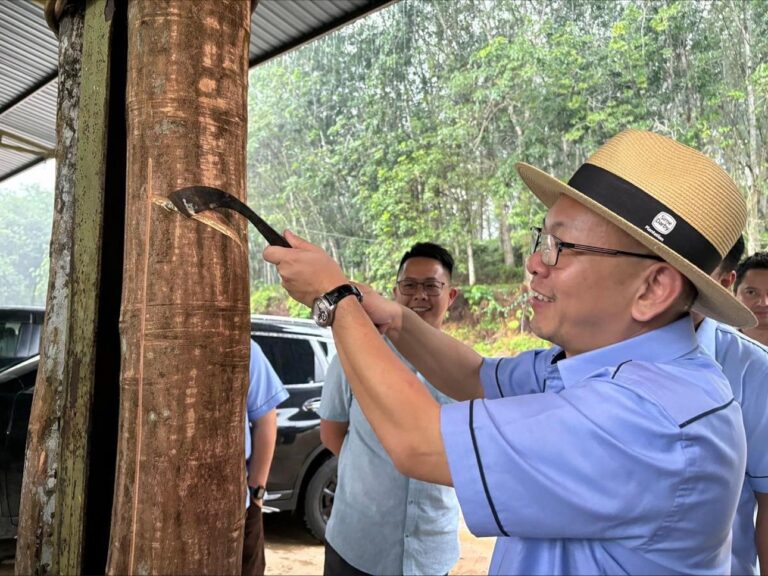 Deputy minister, LGM looking into resolving labour shortage in rubber tapping