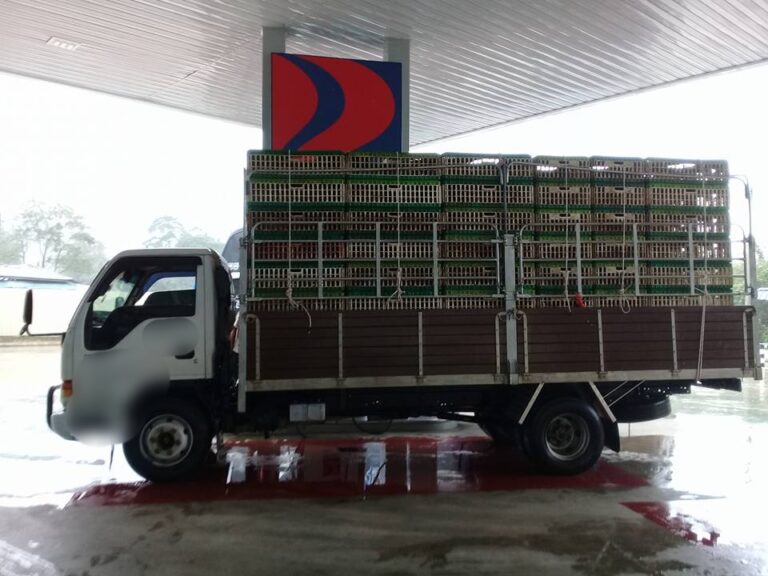 Pembekal ayam segar lega Budi Madani RM200 bantu kurangkan beban