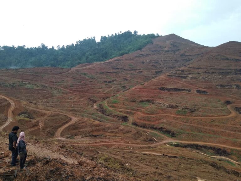 Kerajaan negeri usah mansuh HSK demi REE, elak mudarat jangka panjang
