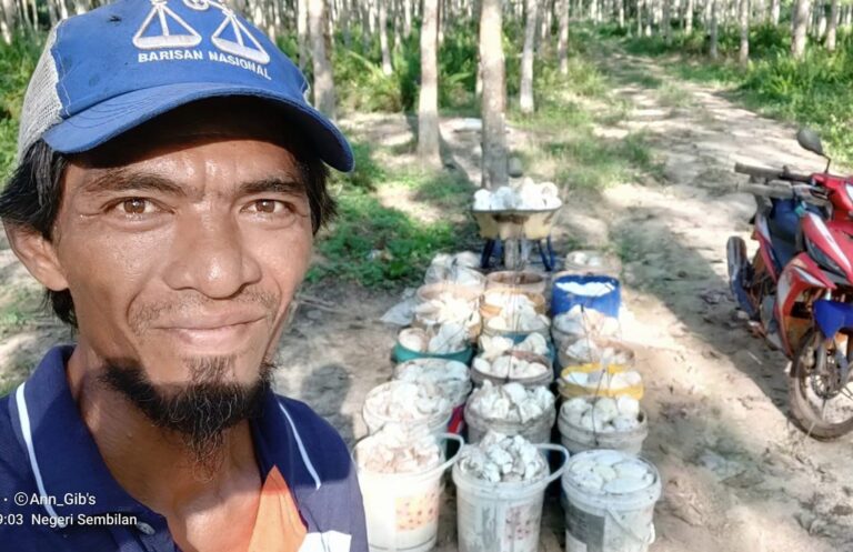 Penoreh getah dapat RM10,000 sebulan bila getah naik harga