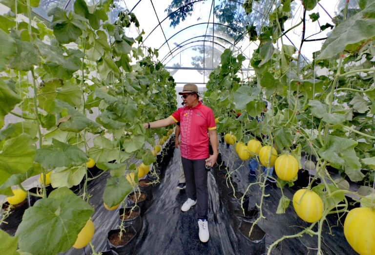 Fokus kita kali ini adalah pemodenan dan pertanian bernilai tinggi sebab kita menggunakan dasar di bawah Pelan Transformasi Agro Selangor (PETA) -YB Ir Izham