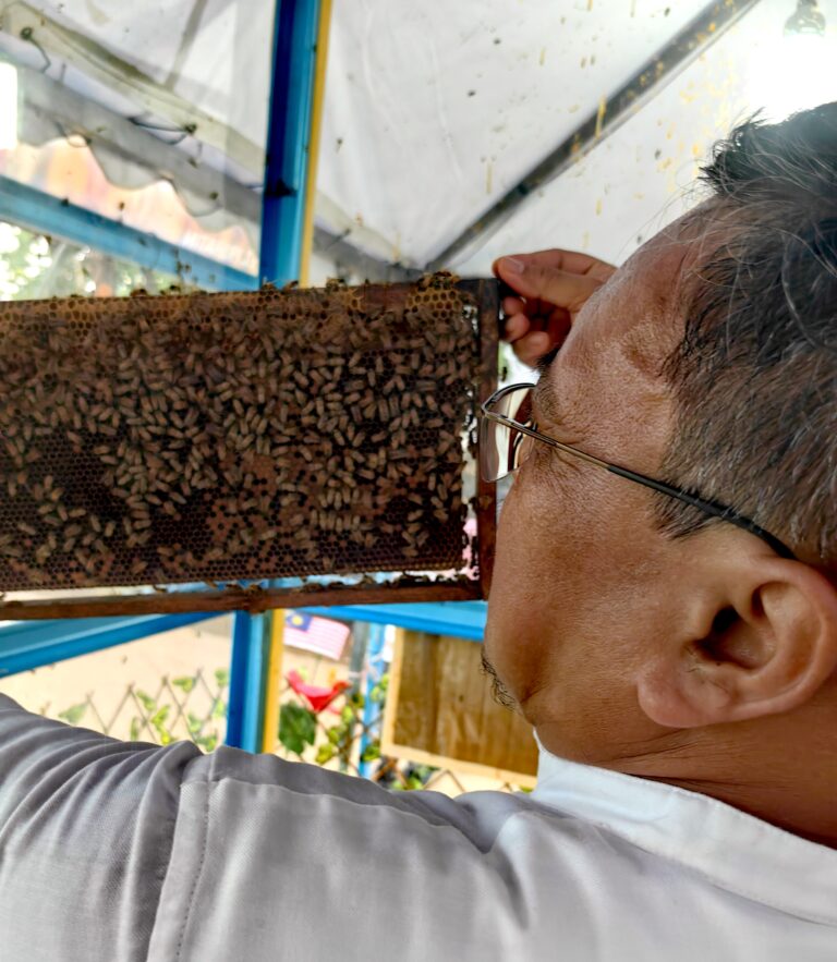 FOTO BERITA | Penternakan lebah madu antara projek berpotensi beri pendapatan kepada belia – Pak Nawi