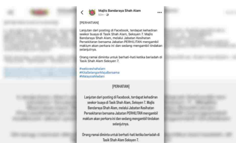 Heboh ancaman buaya di Tasik Shah Alam, ini peringatan MBSA