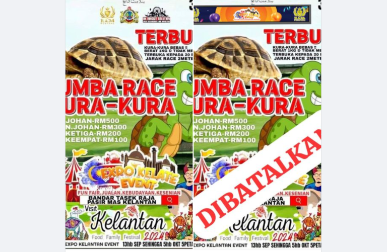Selepas heboh Pas kena sindir, batal dah lumba kura-kura di Kelantan