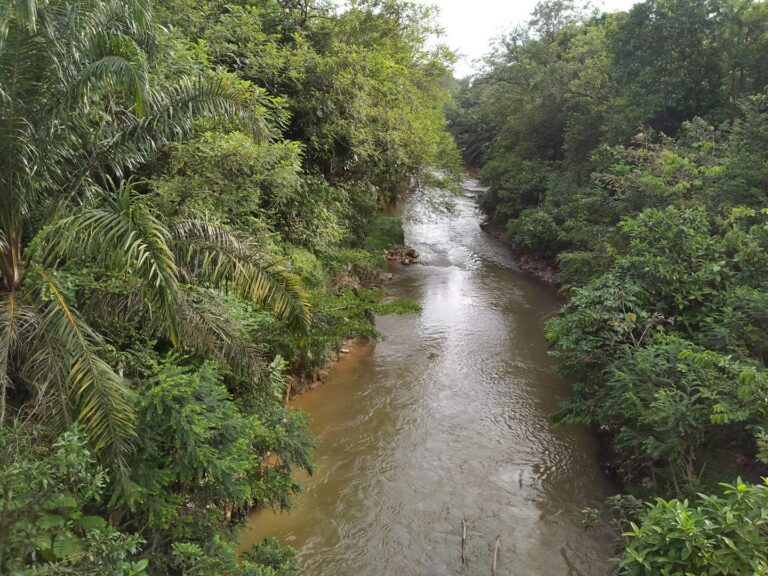 Empat sungai di Selangor lepasi paras bahaya