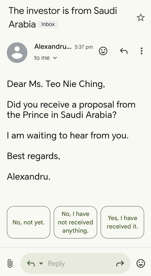 Deputy Minister of Communications receives a proposal from a “Saudi Prince”