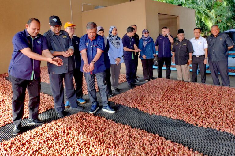 Projek Ladang Satelit Ihsan Tani boleh tingkatkan pengeluaran cili negara