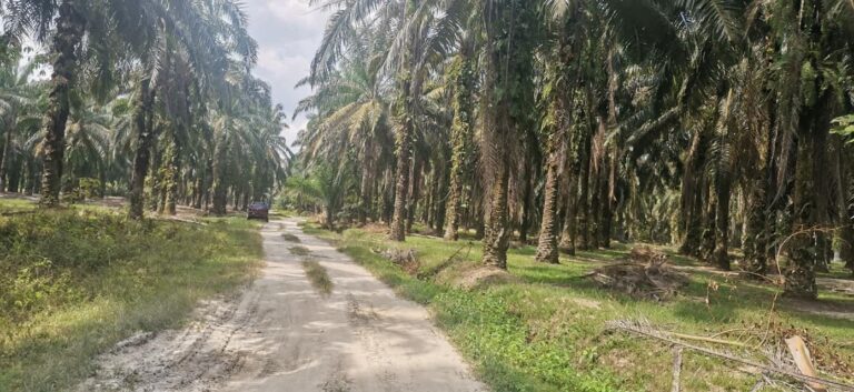 Ayer Kuning by-election may end up a three cornered tussle