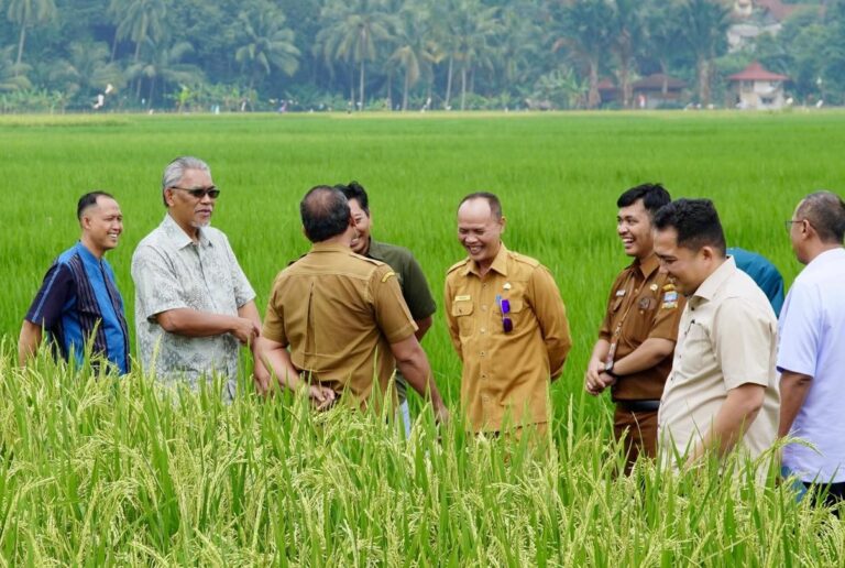 Pengerusi Mada ke Indonesia kaji padi 4 musim setahun