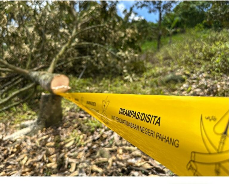 Pencerobohan tanah: Ini sebabnya wujud hipokrasi