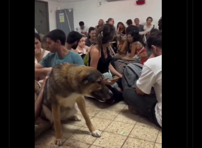 Serangan berterusan, warga Israel panik digegar Iran