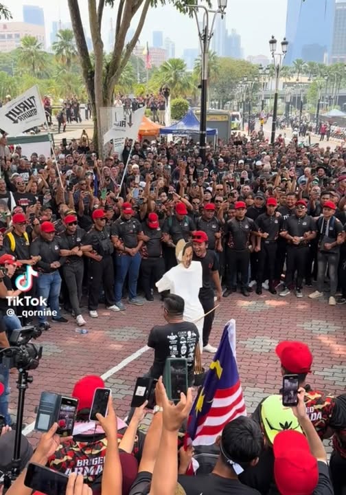 Caning Anwar’s effigy during Turun Anwar is an offence, says lawyer