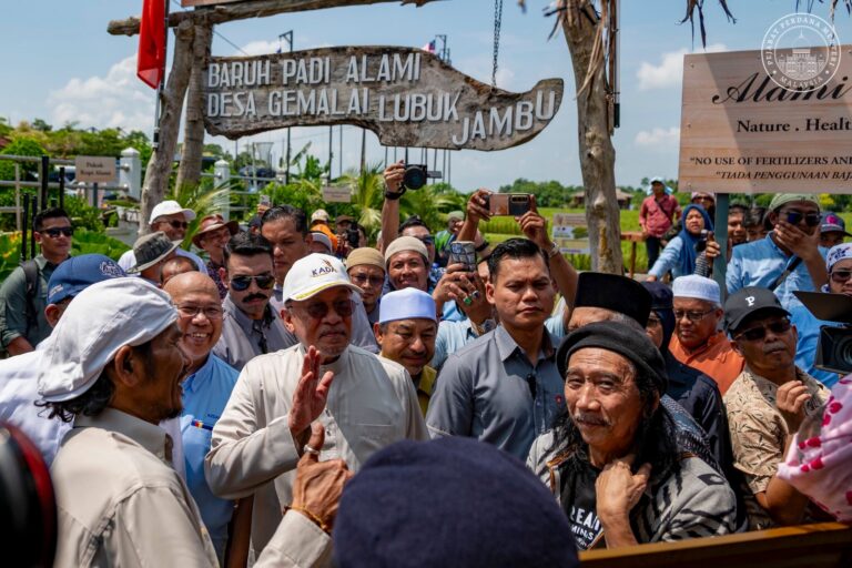 Anwar tinjau baruh padi alami di Kota Bharu, yakin masa depan pertanian negara
