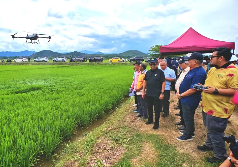 Harga beras putih tempatan kekal RM2.60 sekilogram – KPKM pantau selepas penamatan subsidi