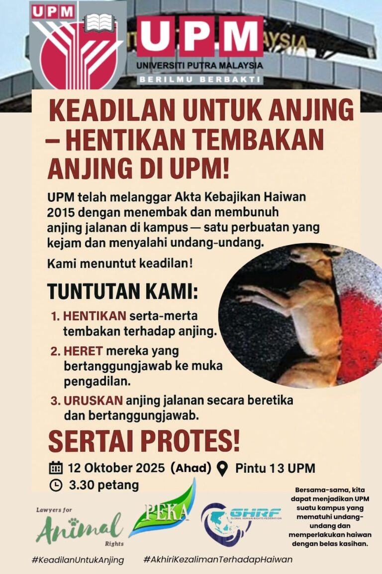 NGOs to protest against UPM dog killings tomorrow
