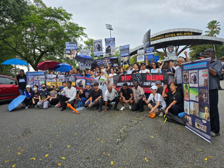 ‘UPM is going after whistleblowers instead of perpetrators’