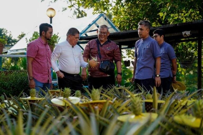 Mat Sabu tunjuk ‘kebun’ mini, tanam nanas di belakang kediaman rasmi menteri