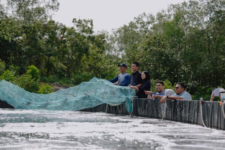 MyAquaBest dilancarkan oleh LKIM di Johor, Josfa sahut cabaran ternak udang putih