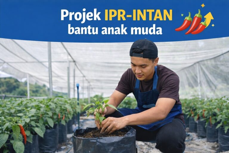 Projek IPR Intan, gaji RM2,500 dari tanam cili?