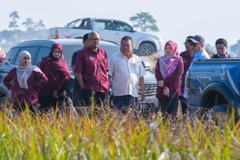 “Bang Mat turun senyap cek sawah padi” — usaha pantau bekalan makanan dipuji