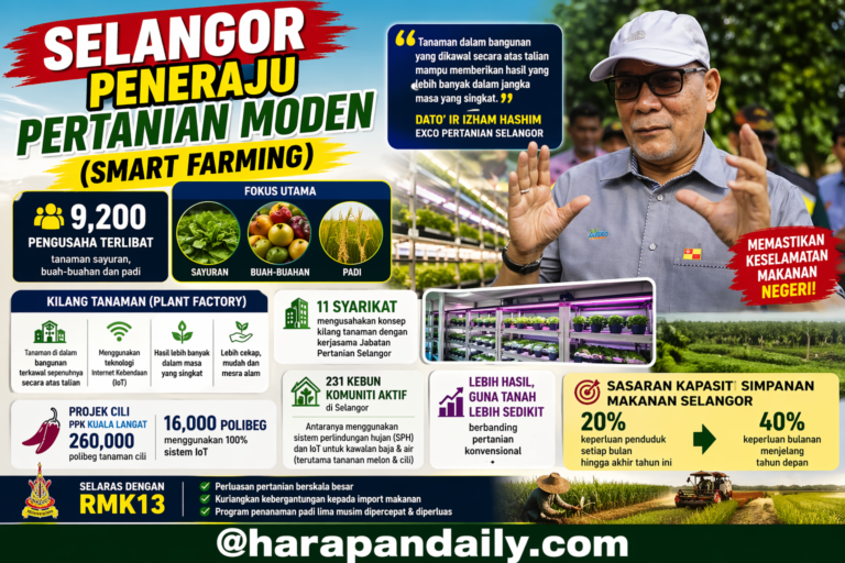 Tanam dalam bangunan, Selangor rintis ‘smart farming’