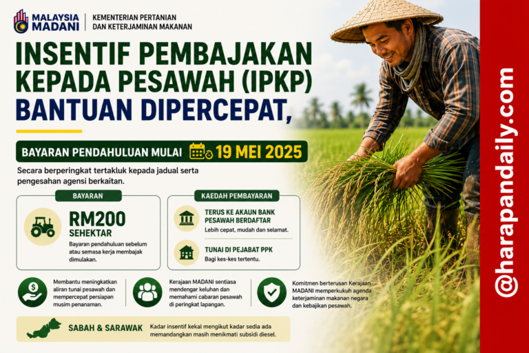 Kerajaan MADANI percepat bantuan pesawah mulai 19 Mei