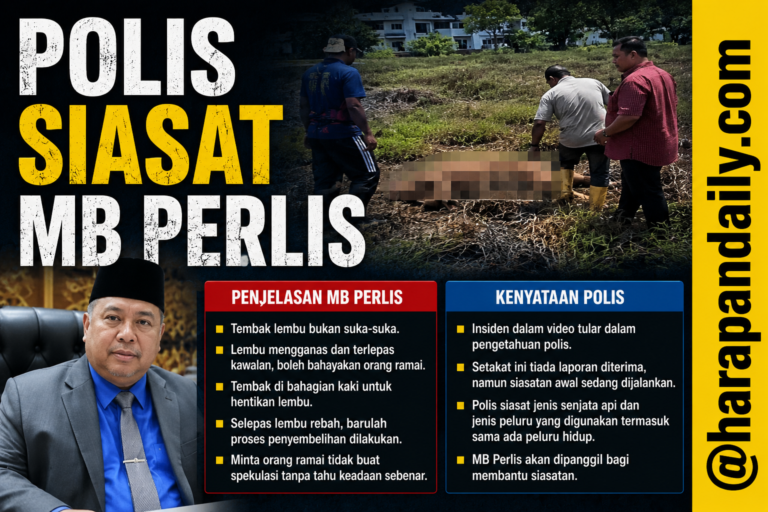 Polis siasat MB Perlis video tembak lembu korban