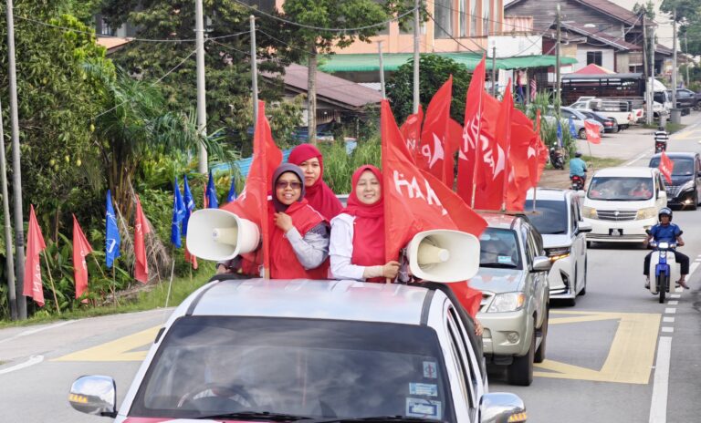 ‘Johor Maju Untuk Semua’ jadi nadi lagu kempen Elia Nadira di DUN Tenang