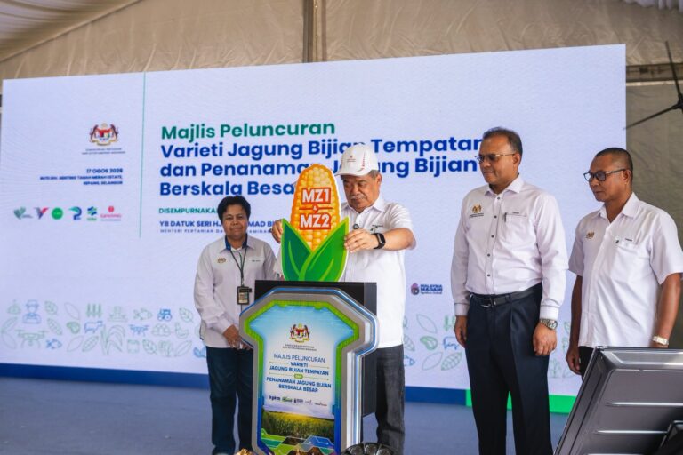 Kini import jagung 2.5 juta tan setahun, Bang Mat  fokus kuatkan pengeluaran tempatan